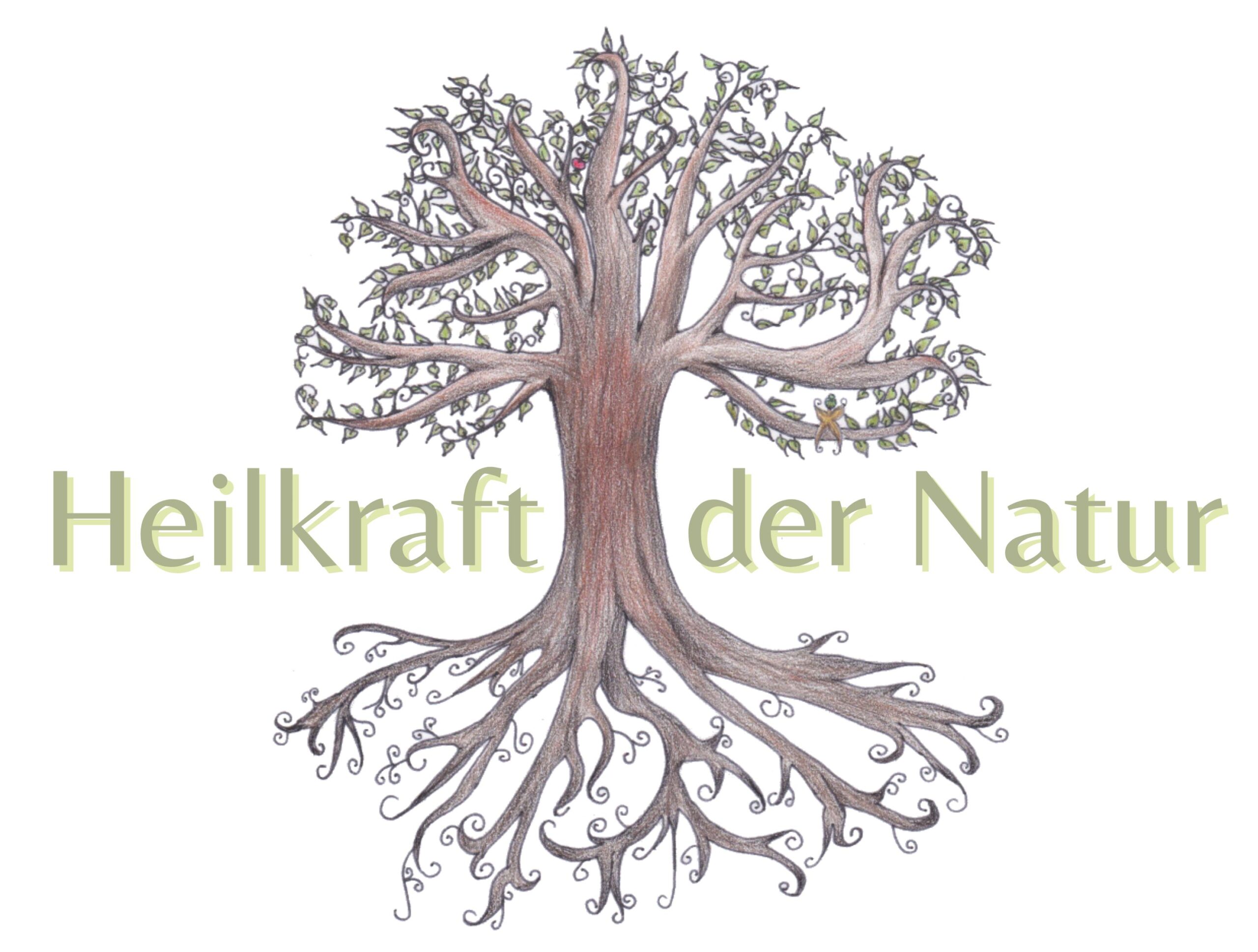 Heilkraft der Natur