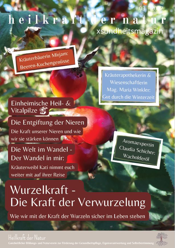 Xsundheitsmagazin Ausgabe 3