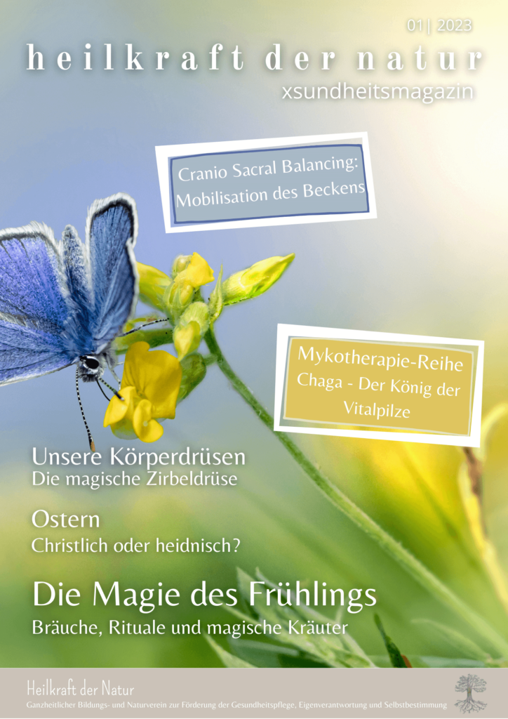 Cover XSUNDHEITSMAGAZIN Ausgabe 1 2023