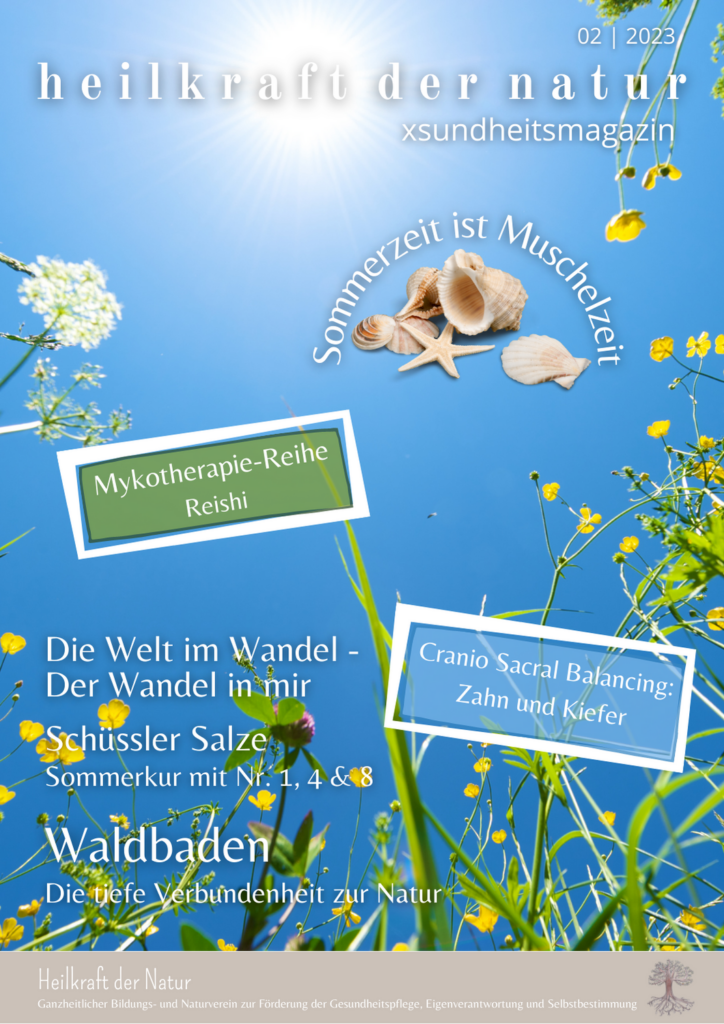 Xsundheitsmagazin Sommer 02/2023