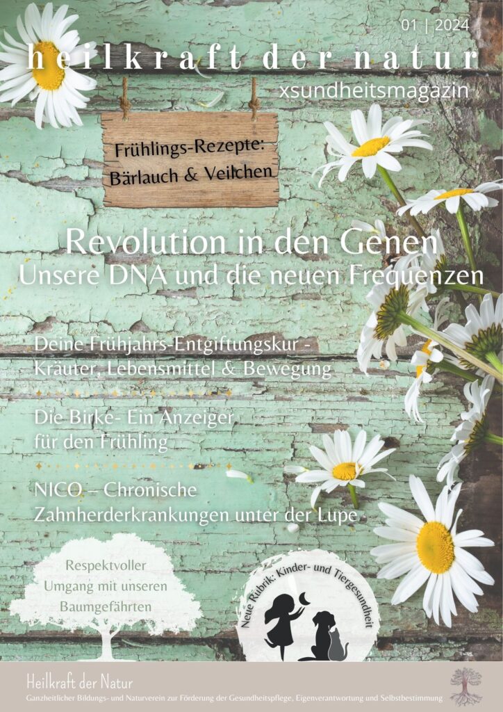 Cover Xsundheitsmagazin Ausgabe 1 2024