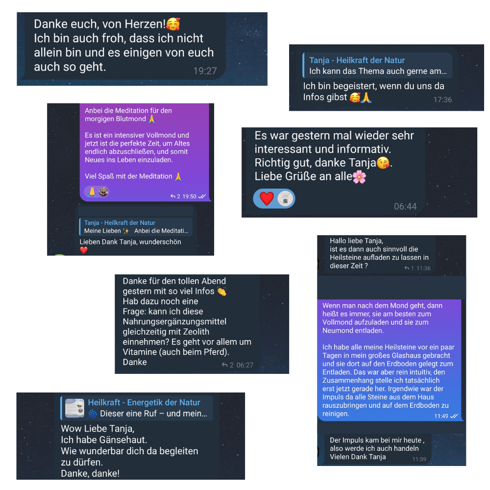 Telegram Community